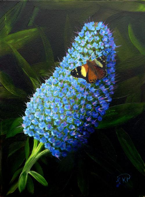 Australian Admiral Butterfly on a Blue Flower by Australian Artist Garry Purcell