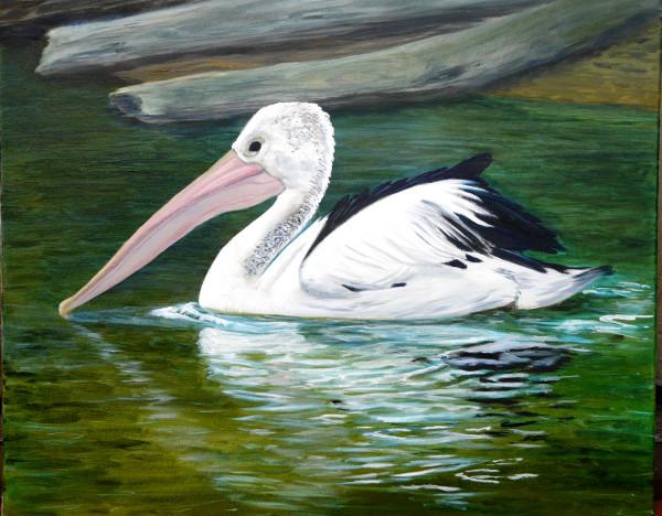 Pelican on a Lake - original oil painting for sale